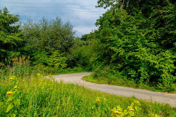 Thumbnail: _JA 40707 Natur pur .jpg